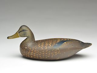 Hollow carved black duck, Charles Birch, Willis Wharf, Virginia.