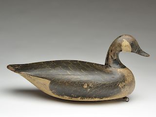 Canada goose, Ira Hudson, Chincoteague, Virginia, 1st half 20th century.
