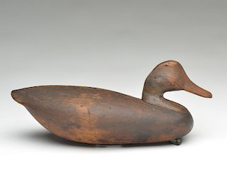 Black duck, Ike Phillips, Wachapreague, Virginia, last quarter 19th century.