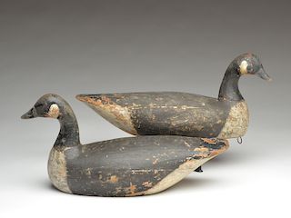 Rigmate pair of Canada geese, Ira Hudson, Chincoteague, Virginia, circa 1930.