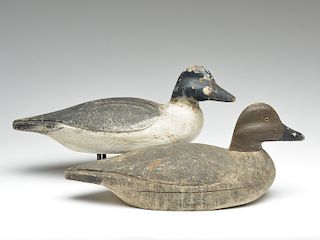 Pair of goldeneye attributed to member of Sterling Family, Crisfield, Maryland.
