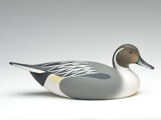 Full size replica of a Ward Brothers pintail, Oliver Lawson, Crisfield, Maryland.