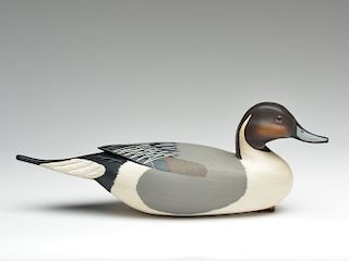 Pintail drake carved in the Delaware River style, Clarence Fennimore.