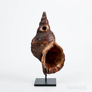 Large New Guinea Conch Shell Trumpet