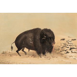George Catlin (American, 1796-1872) Lithograph on Paper
