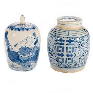 Two Chinese blue and white jars.