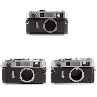 Three Canon 7 S Camera Bodies
