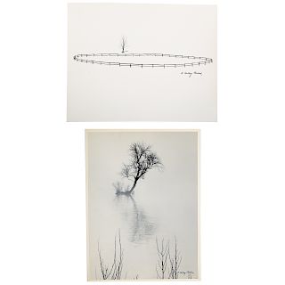 A. Aubrey Bodine. Two Naturalist Photos