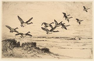 Frank Weston Benson
(American, 1862-1951)
Wild Geese, 1917