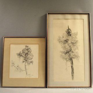 Sylvia Manning (American, 20th Century)      Two Ink Drawings of Flora: Cat-O-Nine Tails