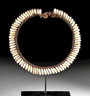Early 20th C. PNG Cowrie Shell & Fiber Necklace