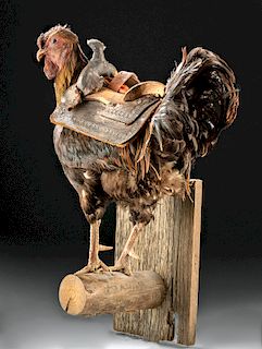 20th C. Mexican Taxidermy Rooster w/ Leather Saddle