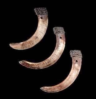 Early 20th C. Asian Ifugao Boar Tusk Pendants (3)