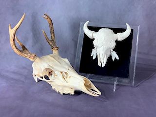Two Animal Skull Subject Items