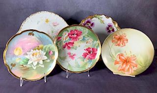 Five Hand Painted Plates