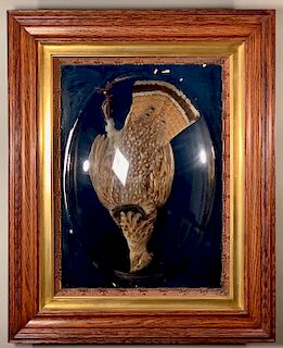 Victorian Taxidermed Ruffed Grouse in Glass