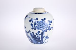 A CHINESE BLUE AND WHITE PORCELAIN JAR, painted with birds 