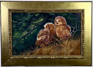 Julie Jeppsen  (b. 1960), O/C Baby Barred Owls