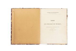 Martens, Martin - Galeotti, Henri. Memoire sur les Fougeres du Mexique, et Considerations... Bruxelles, 1842. 23 láminas. 1era edición.