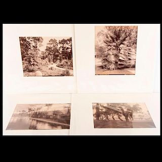 Four matted early photos by Taber San Francisco