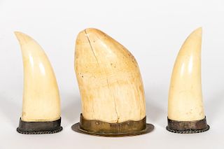Three Whale & Walrus Teeth with Metal Mounts