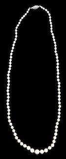 14kt. Pearl Necklace