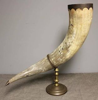 Large and Decorative Horn Mounted on a