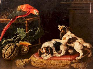 Seguace di Giovanni Paolo Castelli, detto lo Spadino- Still life with two dogs and a parrot