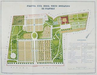 Catalogo delle piante che si coltivano nel R. Orto Botanico di Napoli : corredato della pianta del medesimo, e di annotazioni