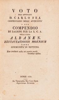 Fea, Carlo - Relazione di un viaggio ad Ostia e alla Villa di Plinio