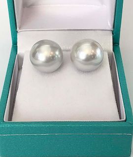 Fine Pair 12.5mm White South Sea Pearl Earrings, 14k White Gold