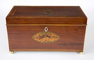 Large Regency Mahogany Tea Caddy, Floral Inlay on Lid, Olive Wood Leaf Paterae on Front