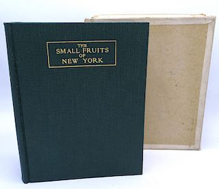 STATE OF NEW YORK DEPT. OF FARMS & MARKETS "THE SMALL FRUITS OF NEW YORK, 1925" 
