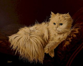 ArtMasters Studio oil of Persian cat