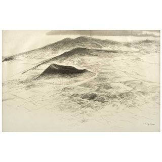 LUIS NISHIZAWA, Paisaje (“Landscape”), Signed, Ink on paper, 13.3 x 20.8” (34 x 53 cm)