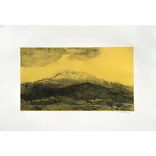 LUIS NISHIZAWZA, Untitled, Signed and dated 92 in pencil and with monogram, Engraving 19 / 75, 12.59 x 22.6” ( 32 x 57.5 cm)
