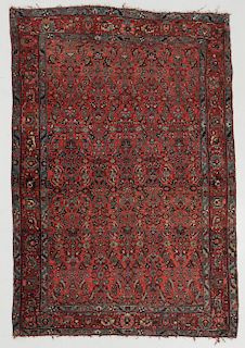 Antique Bidjar Rug, Persia: 4'10'' x 7'0''