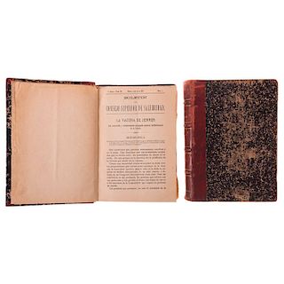 LOTE DE LIBROS: Boletín del Consejo Superior de Salubridad. México, 1897 - 1898 / 1907 - 1908. 3ra. época. Tomos III y XIII. Piezas: 2.