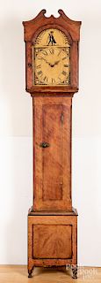 Painted pine tall case clock