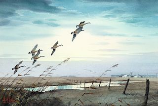 Les Kouba, Untitled (Flying Geese)