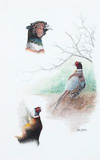 Da Justa, Three Pheasant Sketches