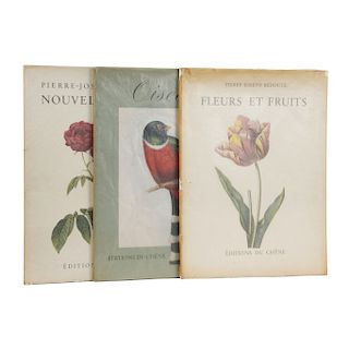 LOTE DE LIBROS EN FRÁNCES: Nouvelles Roses / Oiseaux / Fleurs et Fruits. Ilustrados. Piezas: 3.