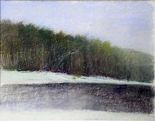 Wolf Kahn (1927), "Lake Shore", pastel on paper, sign bottom center W. Kahn, Thomas Segal Gallery label on back. 17" x 22".