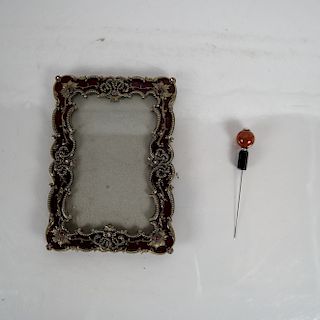 Jeweled Frame and Hair Pin