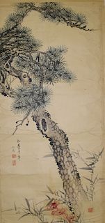 Chinese Ink and Watercolor Painting on Paper Scroll. Old Pine Tree.