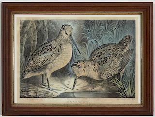 Three 19th C. Woodcock Prints