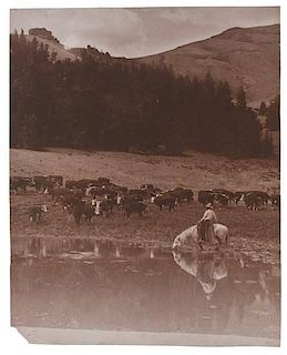 Charles J. Belden Photograph of a Cowboy on Horseback, Tending Cattle 