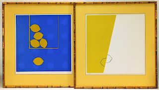 PR Yoshisuke Funasaka Abstract Lemon Prints