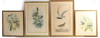 Four Prints of Birds