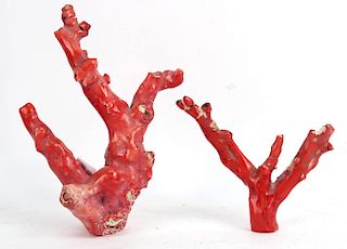 Two Pieces of Red Branch Coral, 20thC.